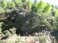 あさひ森の保育園児の遊び場