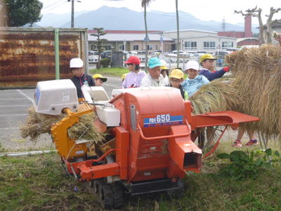 自走自脱型脱穀機