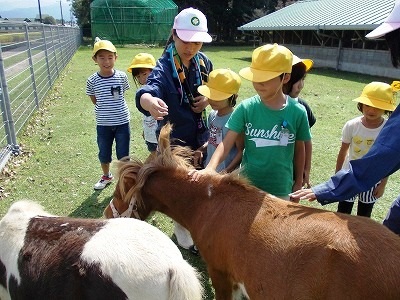 1-2年生生活科見学旅行 1-2年生生活科見学旅行