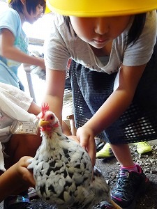 1-2年生生活科見学旅行