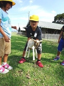 1-2年生生活科見学旅行 1-2年生生活科見学旅行