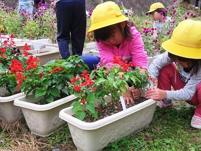 花いっぱい活動 花いっぱい活動