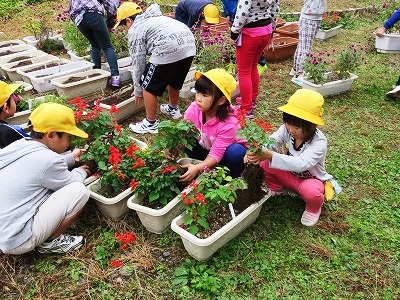 花いっぱい活動