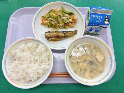 ジャケット