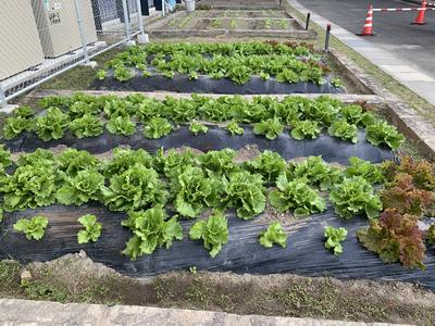 ホーム 天草市立五和小学校