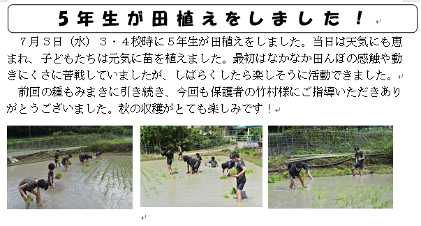 ５年生が田植えをしました！