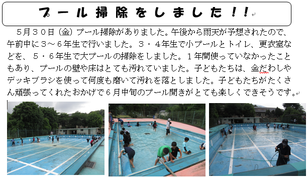 プール掃除をしました