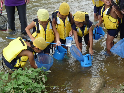 学校生活 宇城市立海東小学校