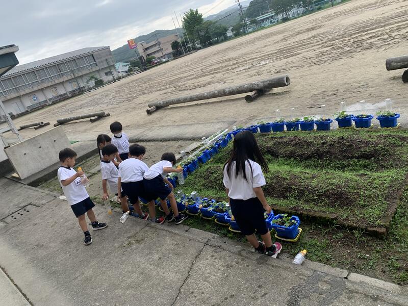 水は1杯でいいですよ～
