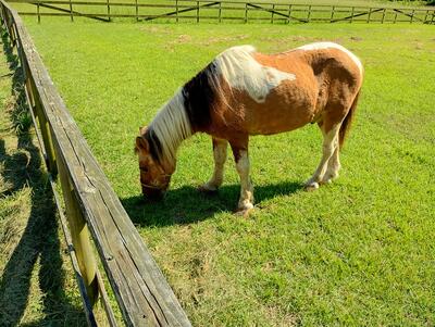 浦河から来て２８年