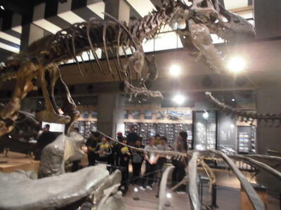 展示物がすごい