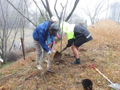 5年生が植樹