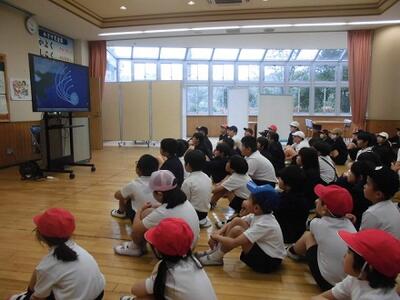 動画を見ながら考えました