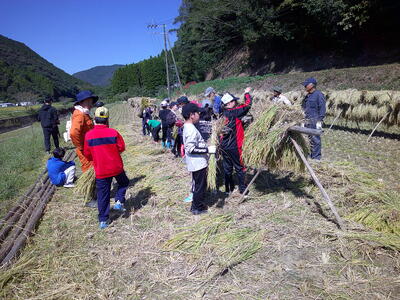 力を合わせて
