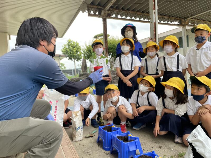 ミニトマト植え