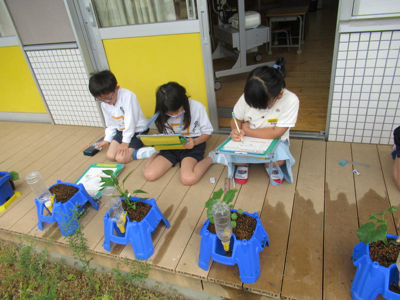 野菜を観察する様子