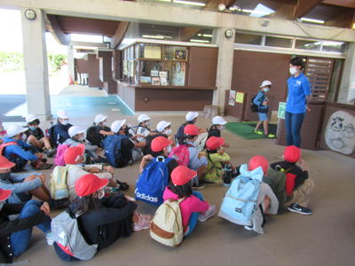 阿蘇ミルク牧場の飼育員さんからの説明を聞いています