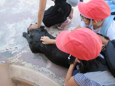 この犬をなでるのが心地よかったようです