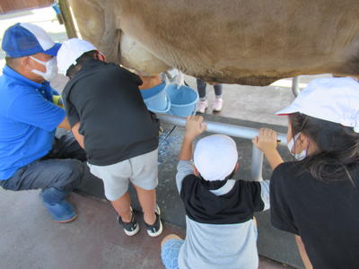 がんばりました！乳搾り！
