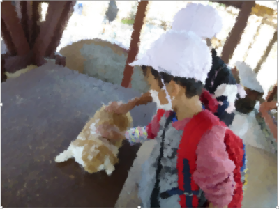 大人気だったモルモット