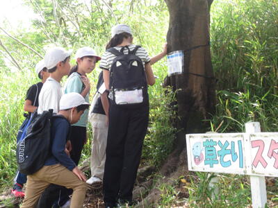 Qハンティング3