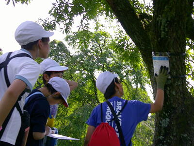 Qハンティング4