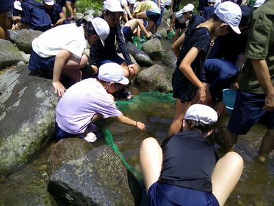 ニジマスつかみ2