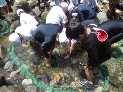 ニジマスつかみ2