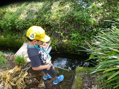 お魚いるかも・・