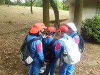 ツリーハンティング