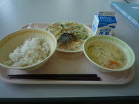 今日の給食