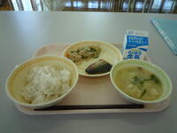 今日の給食