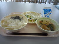 今日の給食