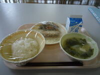 今日の給食