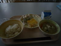 今日の給食