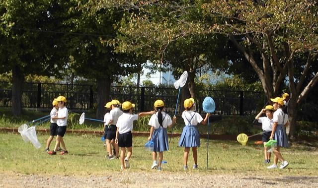 ２年生活科「虫取り」