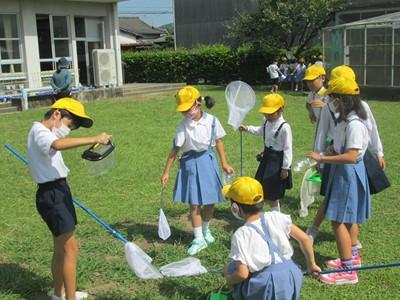 ２年生活科「虫取り」