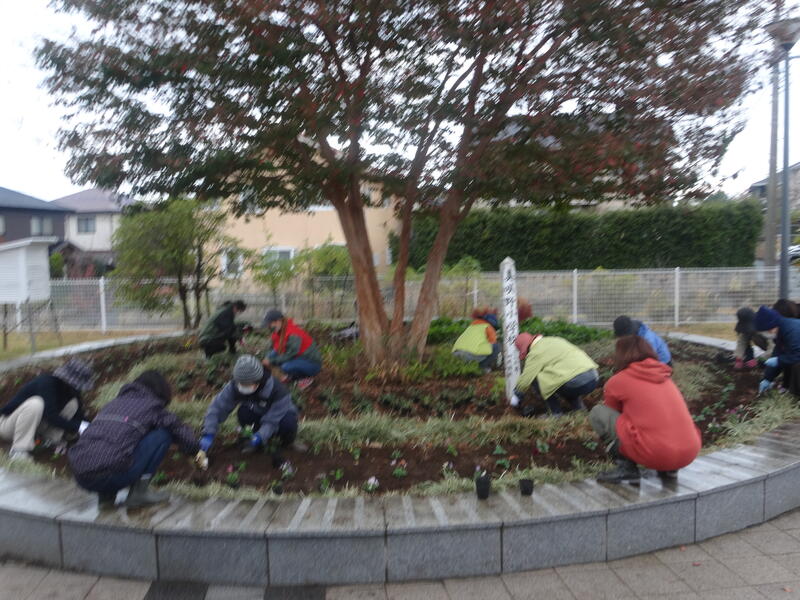 直径１０ｍ以上のシンボルツリー花壇