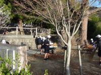 朝のボランティア運動