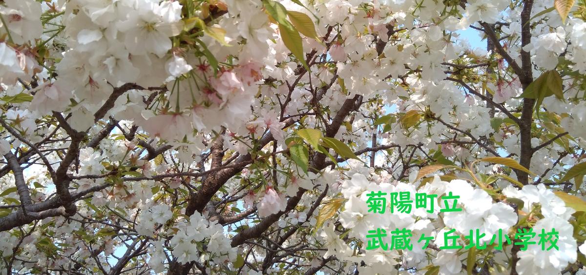 TOP 菊陽町立武蔵ヶ丘北小学校