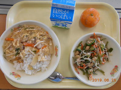 おやこどん・くきわかめとだいずのサラダ・れいとうみかん