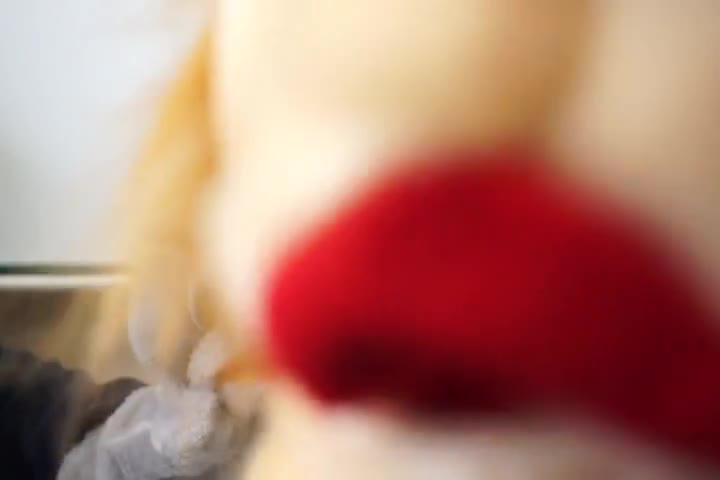 ３年英語（天気）