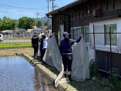 壁にドロがかからないようネットを張って。