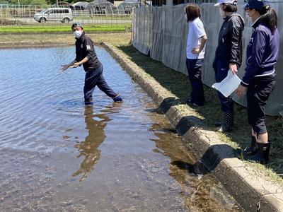 けんけんぱ～やってみてよ！
