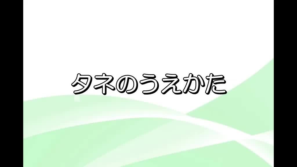 タネのうえかた