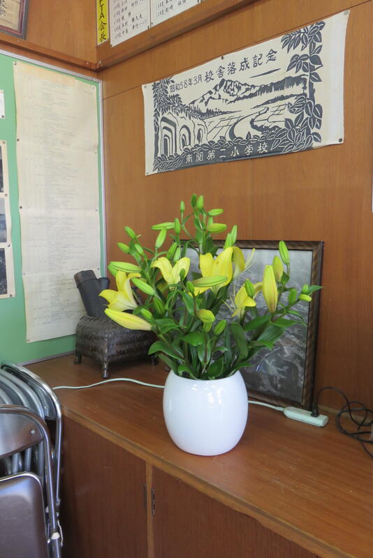 すてきな百合の花です