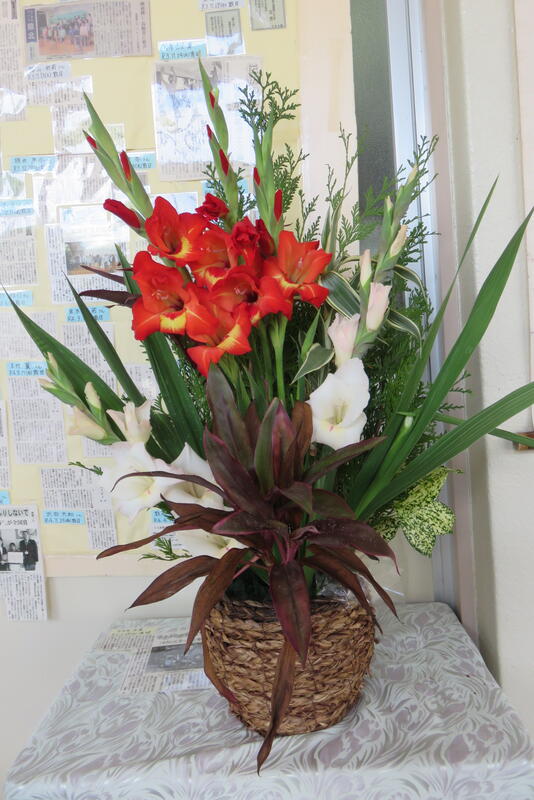 グラジオラスという花です。