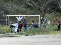 竹の切り出し作業