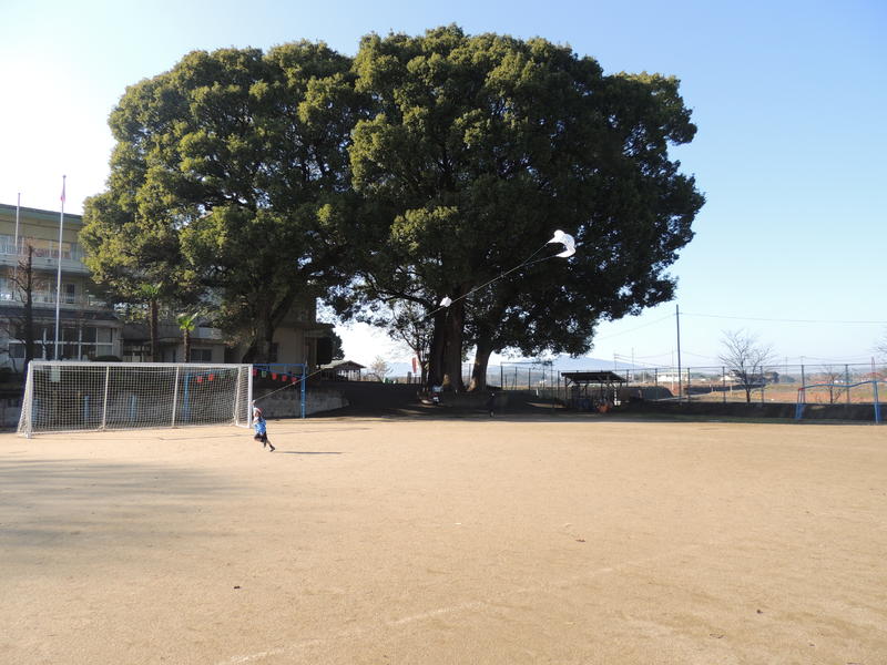 トップページ 合志市立西合志第一小学校