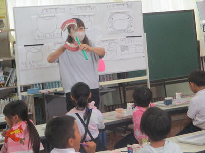 歯ブラシの当て方